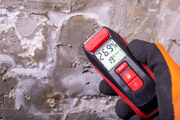 Best Water Damage Restoration  in Crossett, AR