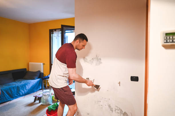 Best Mold Damage Repair  in Crossett, AR